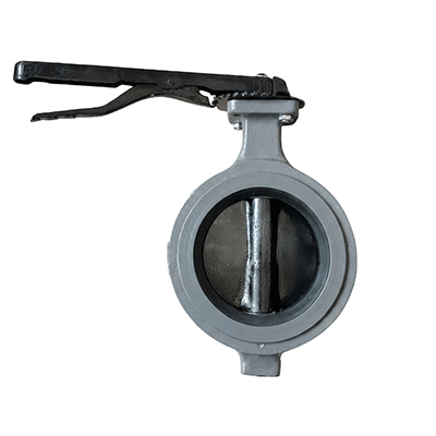 Butterfly Valve Supplier in Kolkata